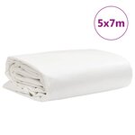 vidaXL Bâche blanc 5x7 m 650 g/m²