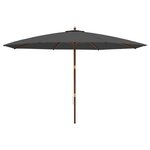 vidaXL Parasol de jardin avec mât en bois anthracite 400x273 cm