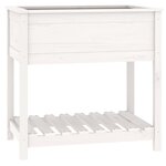 vidaXL Jardinière avec étagère Blanc 82 5x54x81 cm Bois massif de pin