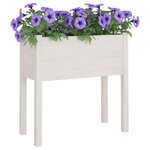vidaXL Jardinières 2 Pièces Blanc 70x31x70 cm Bois de pin massif