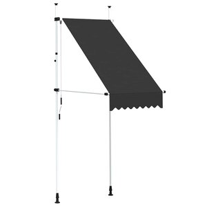 vidaXL Auvent manuel rétractable 100 cm anthracite
