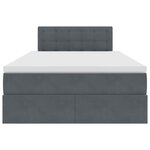 vidaXL Lit de Rangement avec matelas Gris foncé 120 x 190 cm Velours