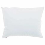 vidaXL Oreiller avec oreiller 2 Pièces Blanc 50 x 75 cm Coton