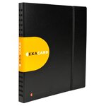 Porte cartes de visite détachable Exacard Exactive 320 cartes 26,5x25cm Noir EXACOMPTA