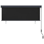vidaXL Store roulant d'extérieur 160x250 cm Anthracite