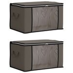 vidaXL Boîte de rangement avec fenêtre latérale transparente 2 pc Gris