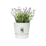 ELHO Pot de fleurs rond Greenville 47 - Extérieur - Ø 47 x H 44,1 cm - Blanc