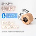 Ovegna Q6BT : Enceinte en Bois, Design Contemporain, HiFi Bluetooth sans Fil, Haut-Parleur Surround, Puissance 3W, Batterie 400mAh, pour Smartphone, Ordinateur, Voyages et balades