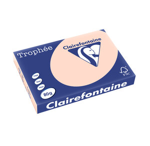 Ramette 500 Feuilles Papier 80g A3 420x297 mm SAUMON TROPHÉE