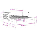 vidaXL Lit de jour avec gigogne sans matelas noir 100x200 cm