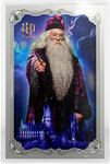 Monnaie HARRY POTTER 25 Years of Magic Blind Box Feuille Argent ou Or Niue 2026