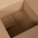 vidaXL Boîte Pliable 50 Pièces Marron 30 x 30 x 15 cm Carton