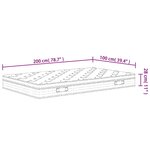 vidaXL Matelas à ressorts ensachés moyen plus 100x200 cm
