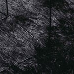 vidaXL Tapis shaggy à poils longs NAVARRA noir 200x200 cm polyester