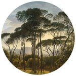 WallArt Papier peint cercle Umbrella Pines in Italy 142 5 cm
