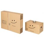 Pack 20 cartons standard avec poignées + 1 adhésif offert