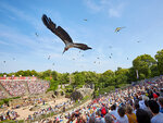 SMARTBOX - Coffret Cadeau Puy du Fou® : Billets d’entrée pour 2 adultes 2026 -  Multi-thèmes