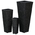 vidaXL Lits surélevés 3 Pièces Jacinthe d'eau Noir