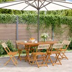 vidaXL Chaises de jardin pliantes lot de 6 beige rotin et bois massif