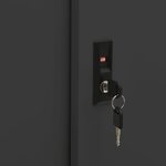 vidaXL Armoire à portes coulissantes avec jardinière Anthracite Acier