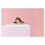 42678 Le van daccessoires pour animaux ® Friends