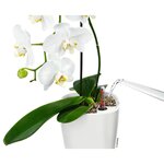 LECHUZA Jardinière DELTINI ALL-IN-ONE Blanc brillant