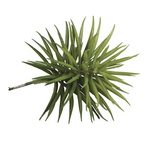 Plante Grasse Succulente Artificielle Senecio 10 x 9 5 cm