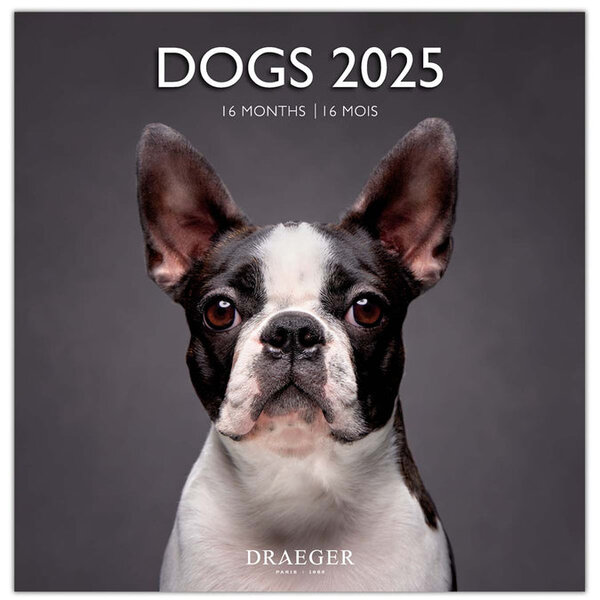 Grand Calendrier Mural 29x29 Cm - 2025 - Chiens - Draeger paris