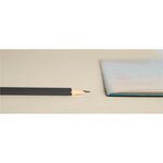 Sous-main Rigide Pvc Sea - 37 5x57 5 Cm - Visuel - X 10 - Exacompta