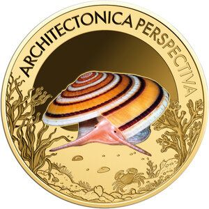 Monnaie PERSPECTIVIST ARCHITECTONICA Sea Creatures 1/1000 Oz Or 3000 Francs Chad (PRÉCOMMANDE)