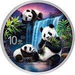 Pièce de monnaie en Argent 10 Yuan g 30 Millésime 2025 CHINA PANDA