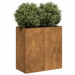 vidaXL Jardinière rouillé 80x40x80 cm acier inoxydable