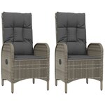 vidaXL Chaises d'extérieur lot de 2 Résine tressée Gris