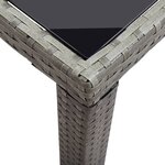 vidaXL Table de jardin Anthracite 123x60x74 cm Résine tressée
