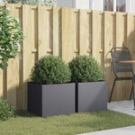 vidaXL Jardinières 2 Pièces anthracite 42x40x39 cm acier