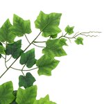 Vidaxl 10 pièces feuilles artificielles de raisin vert 70 cm