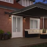 vidaXL Auvent avec Anthracite 5 × 3 5 m Métal