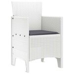 vidaXL Chaise de jardin 2 Pièces Blanc 53 x 49 x 85 cm PP