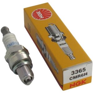 JARDIN PRATIC Bougie d'allumage pour tondeuse NGK CMR6H