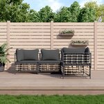 vidaXL Salon de jardin 4 Pièces avec coussins anthracite résine tressée