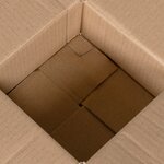 vidaXL Boîte Pliable 50 Pièces 15x15x8 cm Carton