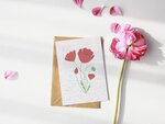Carte à planter coquelicot stylisés
