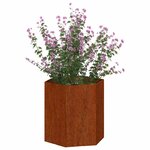 vidaXL Jardinière Rouillé 40x40x45 cm Acier corten