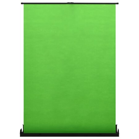 vidaXL Toile de fond de photographie Vert 102" 4:3