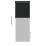 vidaXL Store roulant d'extérieur 60 x 250 cm Anthracite