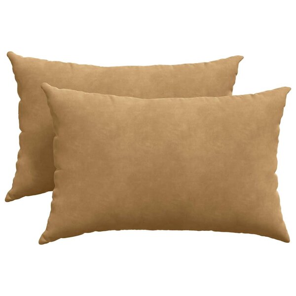 vidaXL Coussins de canapé 2 Pièces Marron 60 x 40 cm