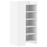 vidaXL Armoire à chaussures blanc 52x37 5x100 cm bois d'ingénierie