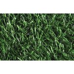 CATRAL Haie Artificielle Dense - 129 Brins - 1mx3m