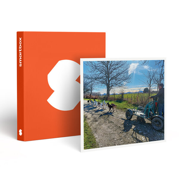 SMARTBOX - Coffret Cadeau Aventure insolite en famille : 1h30 de balade en Cani-Kart près de Clermont-Ferrand -  Sport & Aventure
