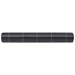 Vidaxl toile de paillage noir 2x10 m pp